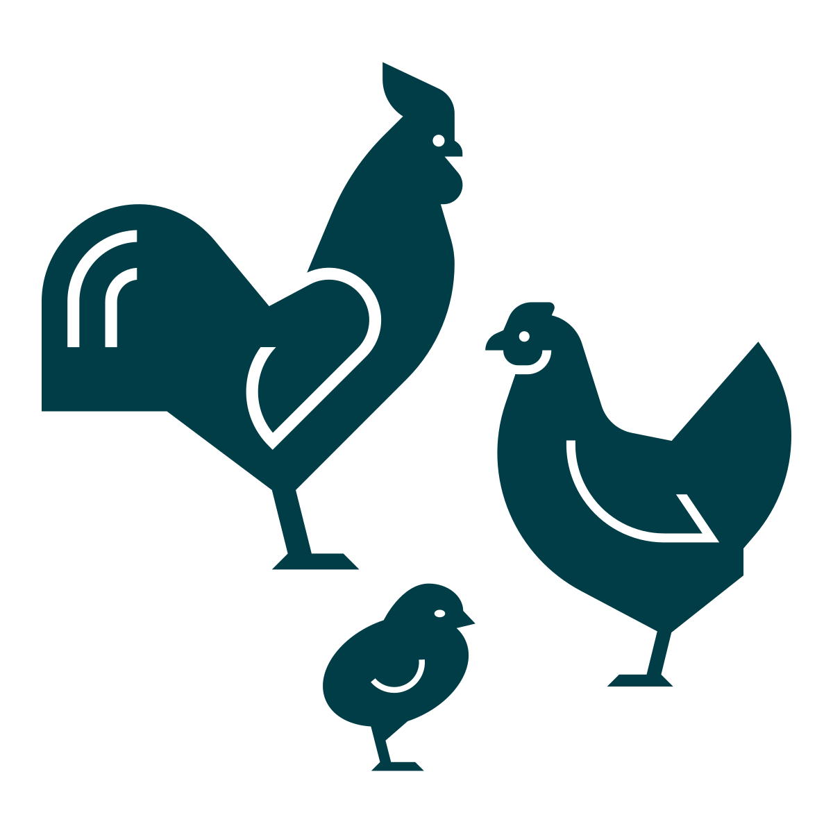 Image of rooster, hen and chick