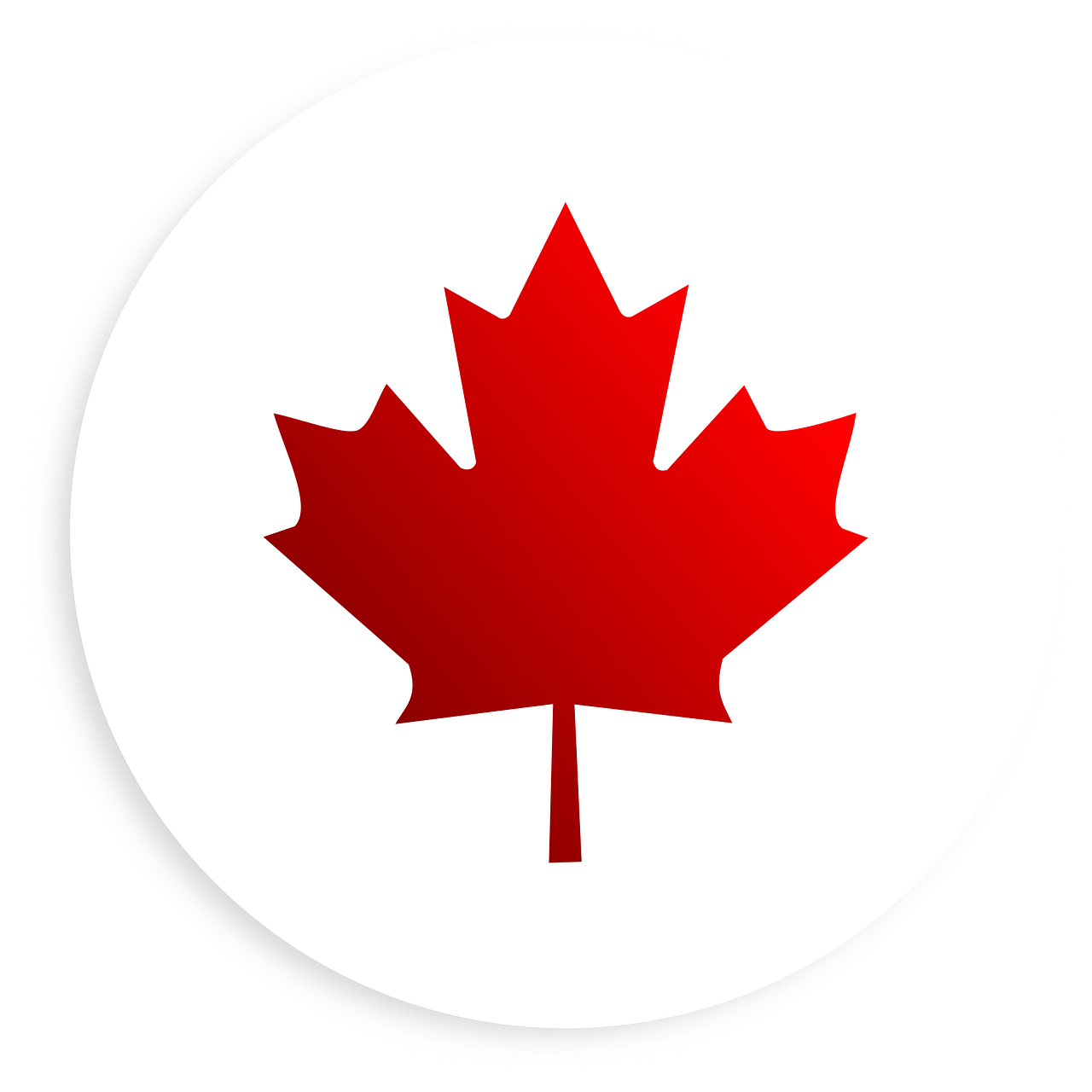 Image of a red maple leaf graphic on a white background.